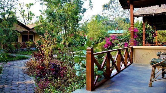 Dudhwa Wilderness Camp