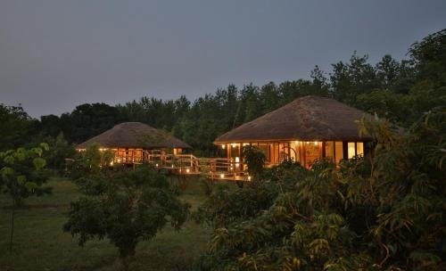 Tree Of Life Jaagir Lodge