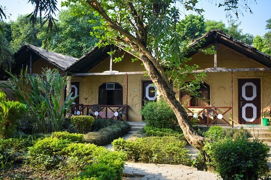 Dudhwa Jungle Lore